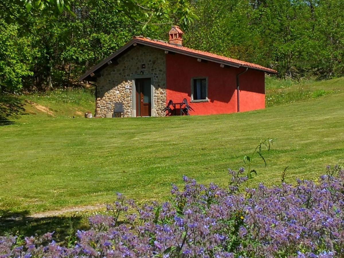 Agriturismo Braccicorti Pieve Fosciana Exteriér fotografie