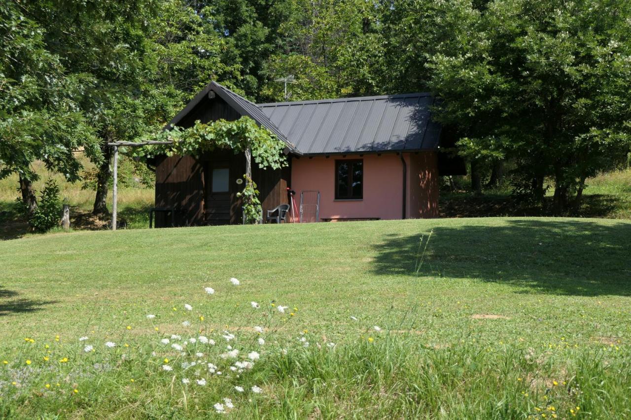 Agriturismo Braccicorti Pieve Fosciana Exteriér fotografie