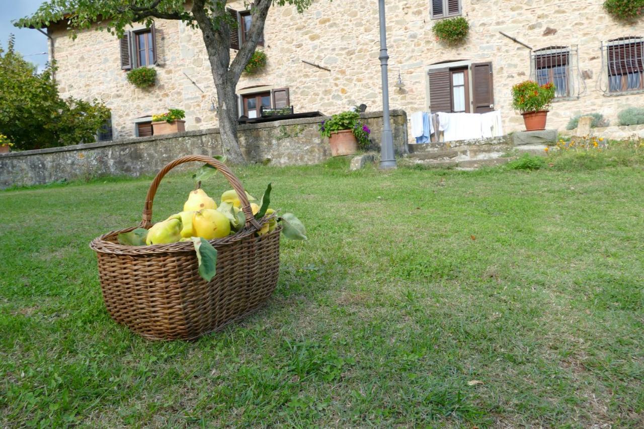 Agriturismo Braccicorti Pieve Fosciana Exteriér fotografie
