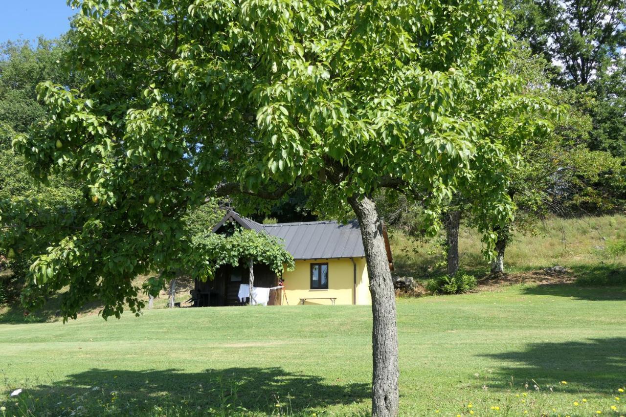 Agriturismo Braccicorti Pieve Fosciana Exteriér fotografie