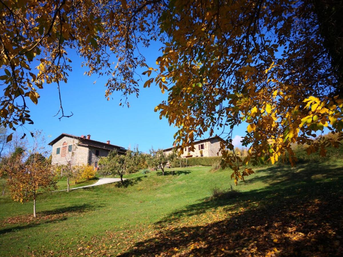 Agriturismo Braccicorti Pieve Fosciana Exteriér fotografie