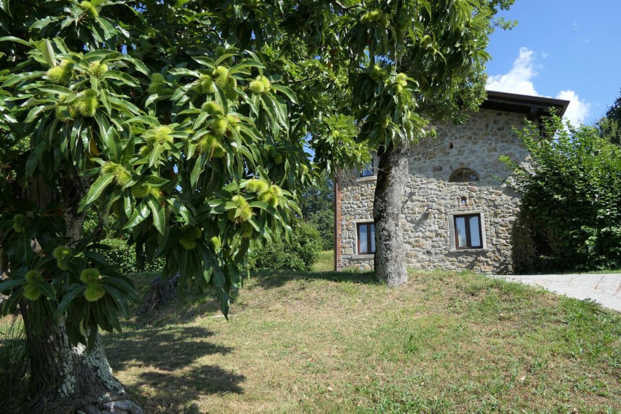 Agriturismo Braccicorti Pieve Fosciana Exteriér fotografie