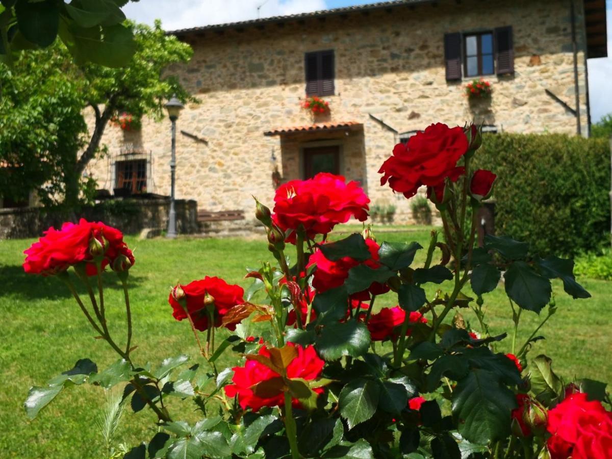 Agriturismo Braccicorti Pieve Fosciana Exteriér fotografie