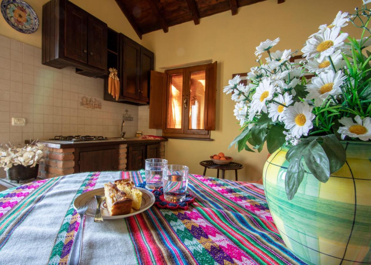 Agriturismo Braccicorti Pieve Fosciana Exteriér fotografie