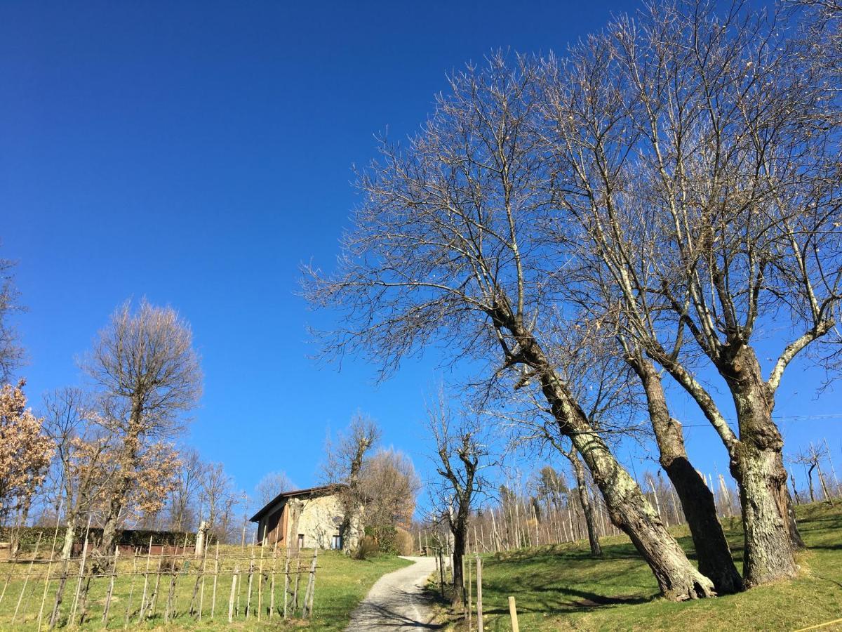 Agriturismo Braccicorti Pieve Fosciana Exteriér fotografie