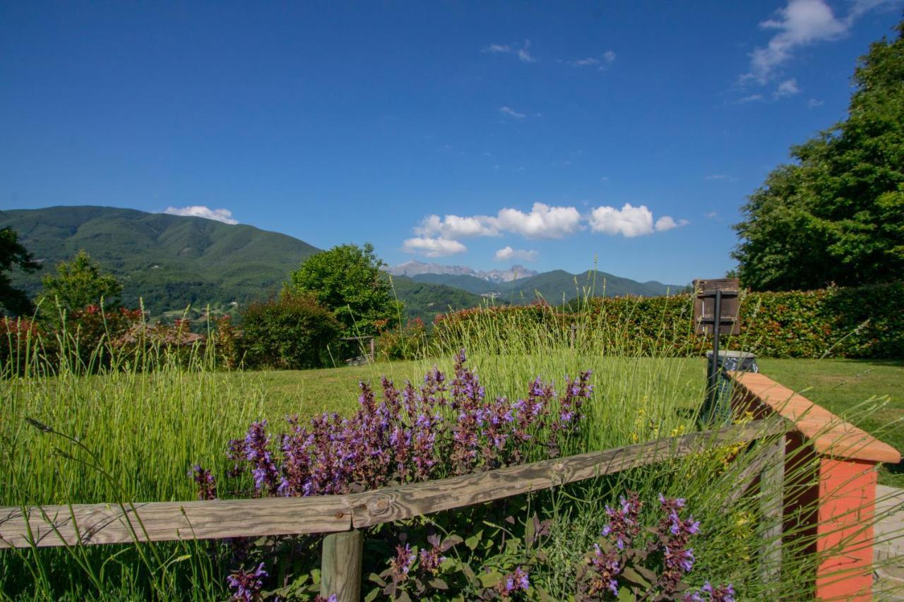 Agriturismo Braccicorti Pieve Fosciana Exteriér fotografie